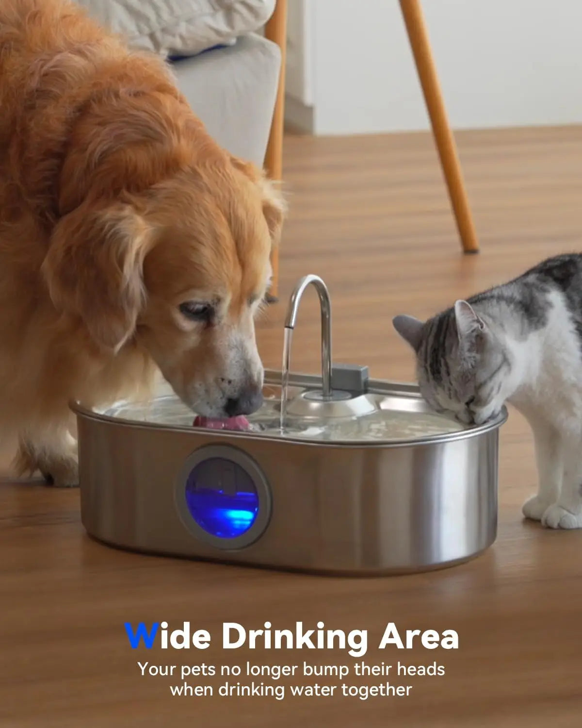 13L Stainless Steel Pet Fountain; Quiet Pump