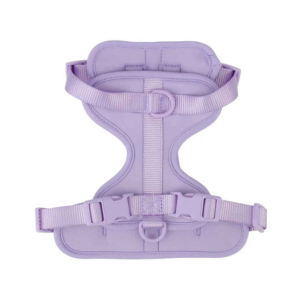 Breathable Lightweight Dog Harness Adjustable