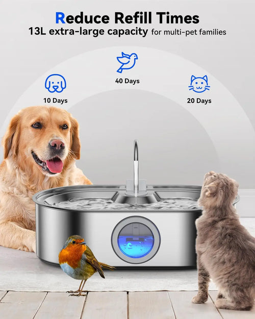 13L Stainless Steel Pet Fountain; Quiet Pump