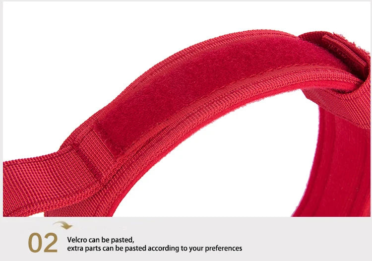 Tactical Training Collar, Leash Set or Separately