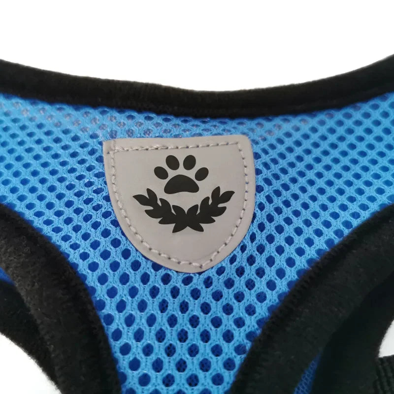Dog Mesh Adjustable Harness & Leash
