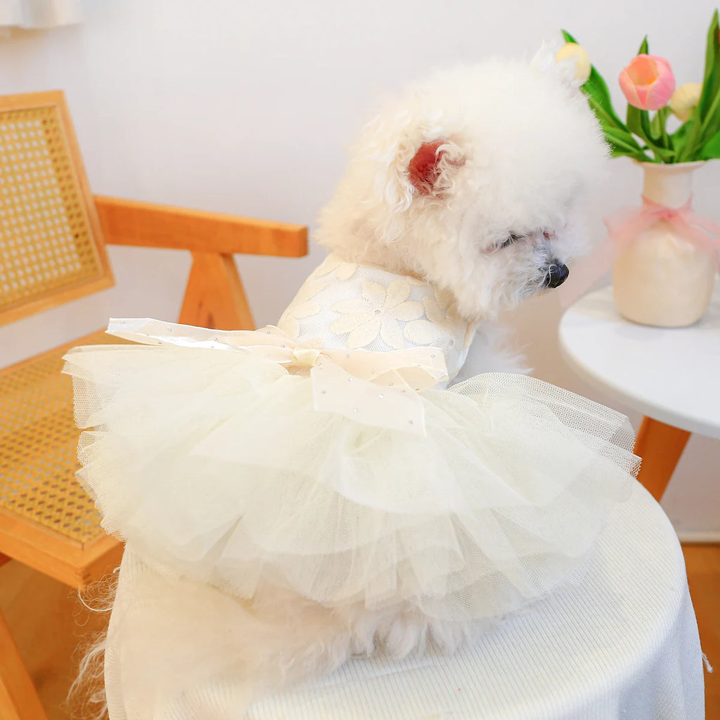 Couture Pet Wedding, Princess Dress