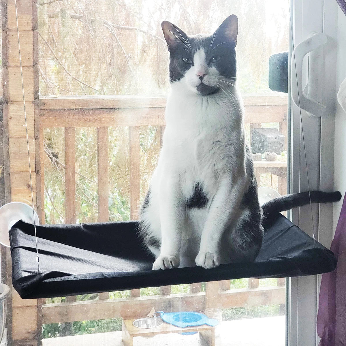Window Seat Cat Bed; Aerial Hanging Hammock