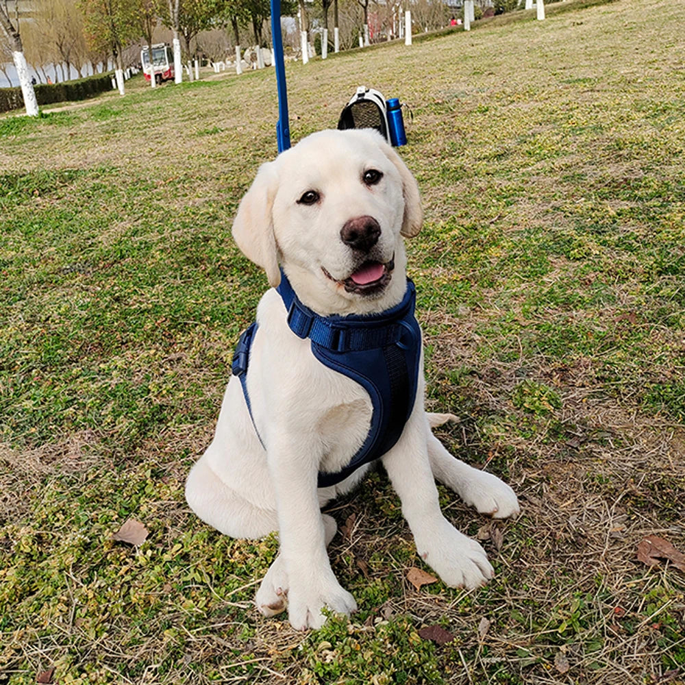 Breathable Lightweight Dog Harness Adjustable