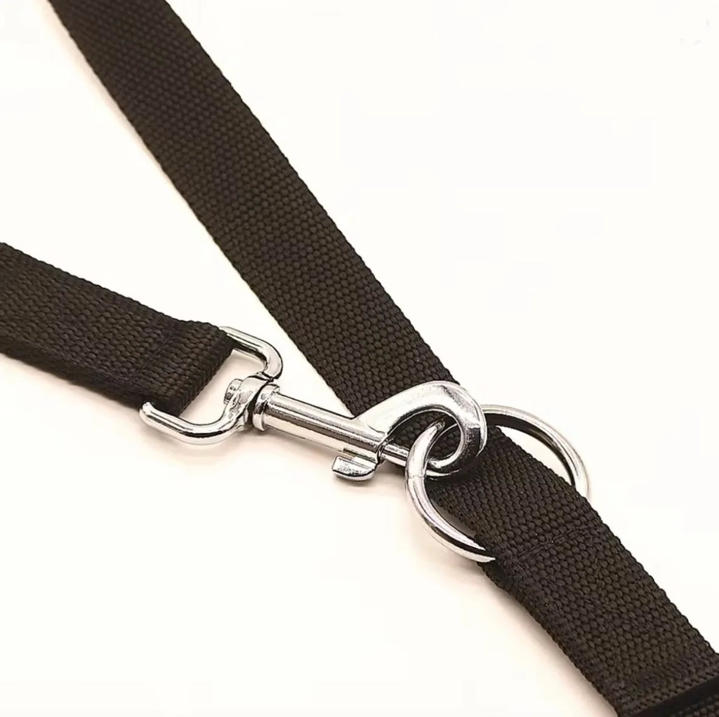 Adjustable Dog Leash for Walks, Training, Control